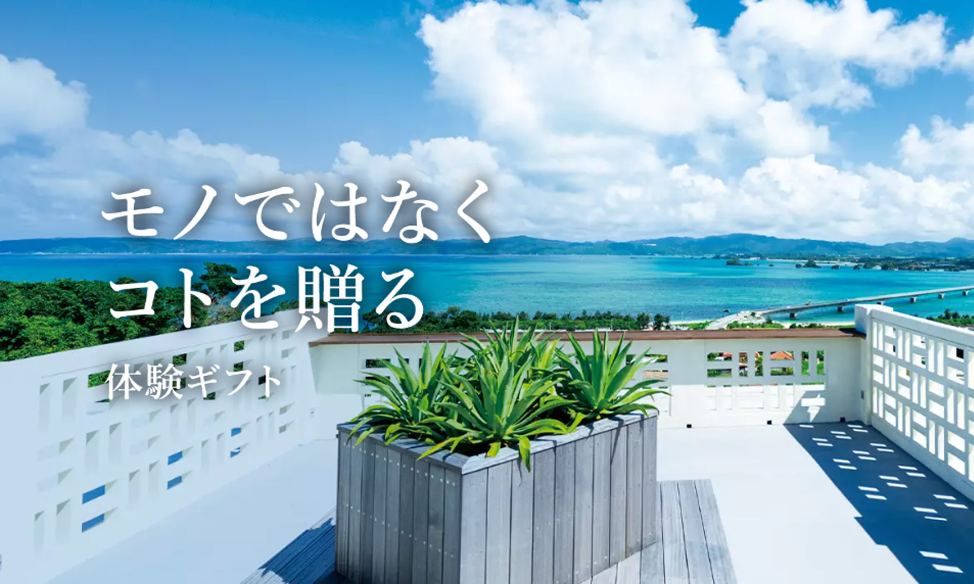 選べる体験ギフト